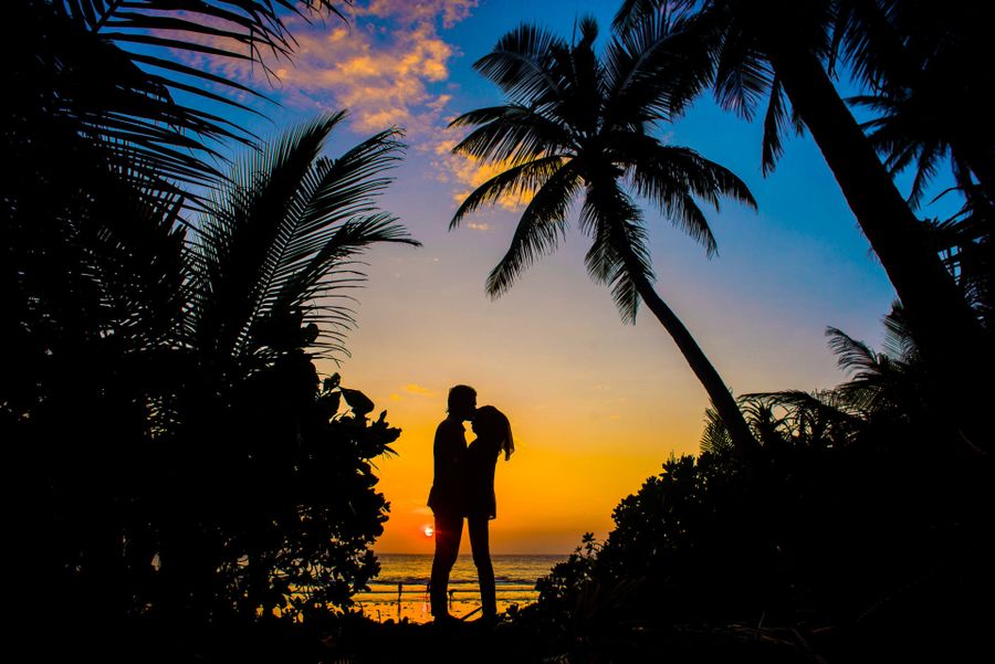 Regal Weddings destination wedding Rajasthan Goa